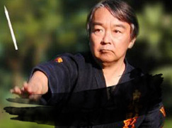 Meifu Shinkage Ryu Shuriken Jutsu